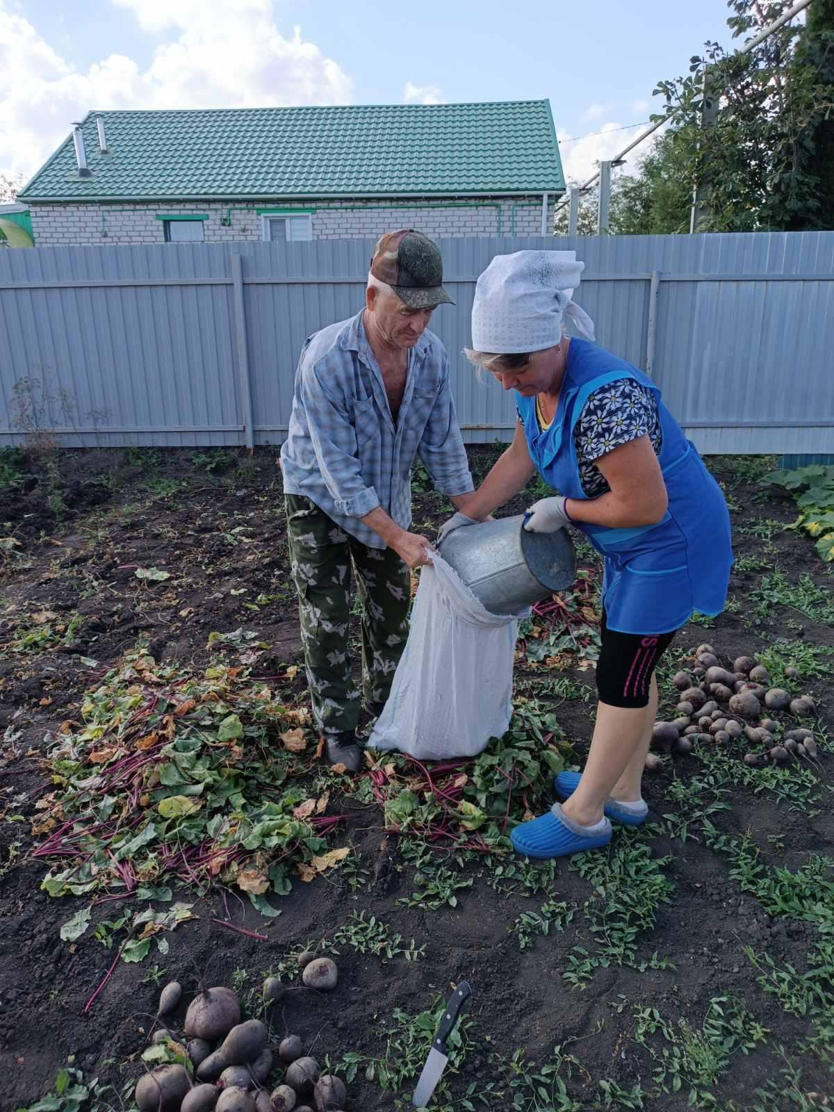 Социальные работники провели акции по сбору урожая у получателей социальных услуг