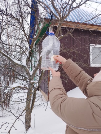 Покормите птиц зимой!