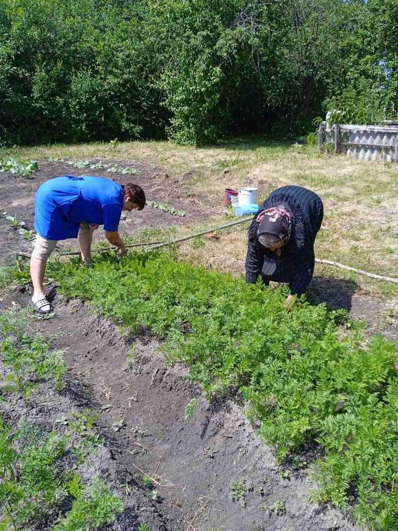 Гарденотерапия