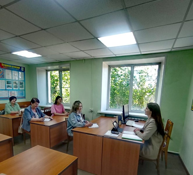 Участие в методическом занятии для психологов организаций