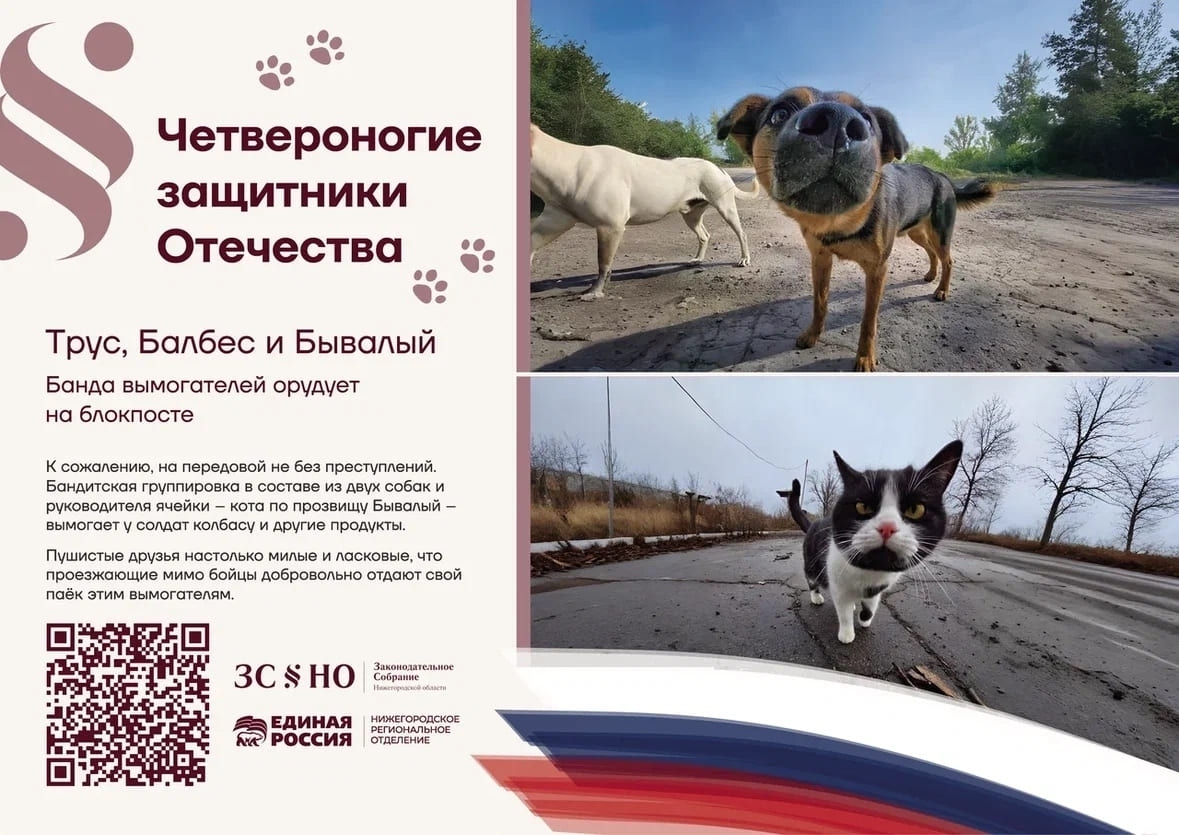 «Четвероногие защитники Отечества»