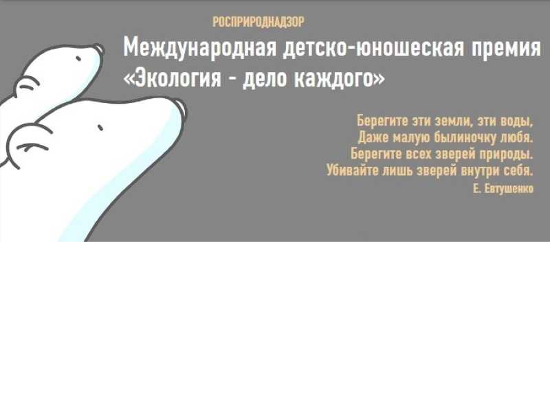 Внимание! Информация о  Международной детско-юношеской премии «Экология – дело каждого»