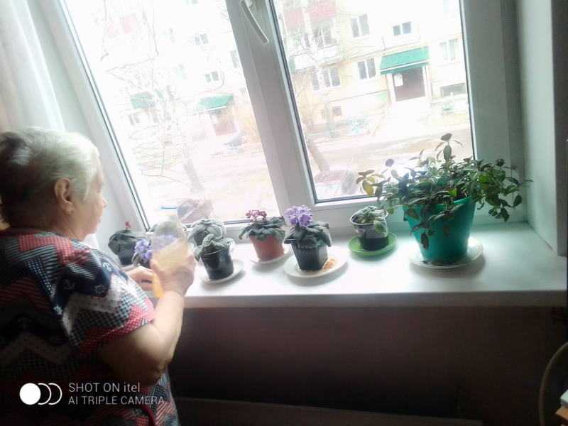 Инновационные формы работы  в отделениях надомного обслуживания. Гарденотерапия.