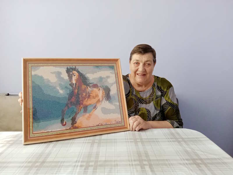 Алмазная вышивка «Бегущая вдаль»