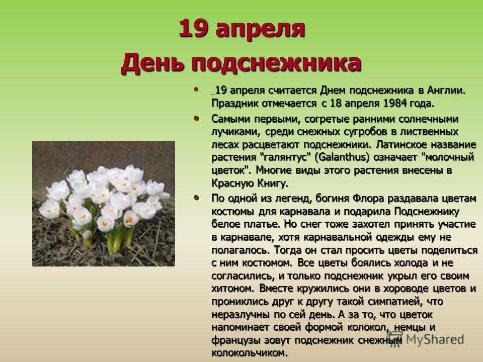 19 апреля